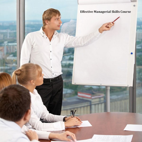Effective Managerial Skills Course